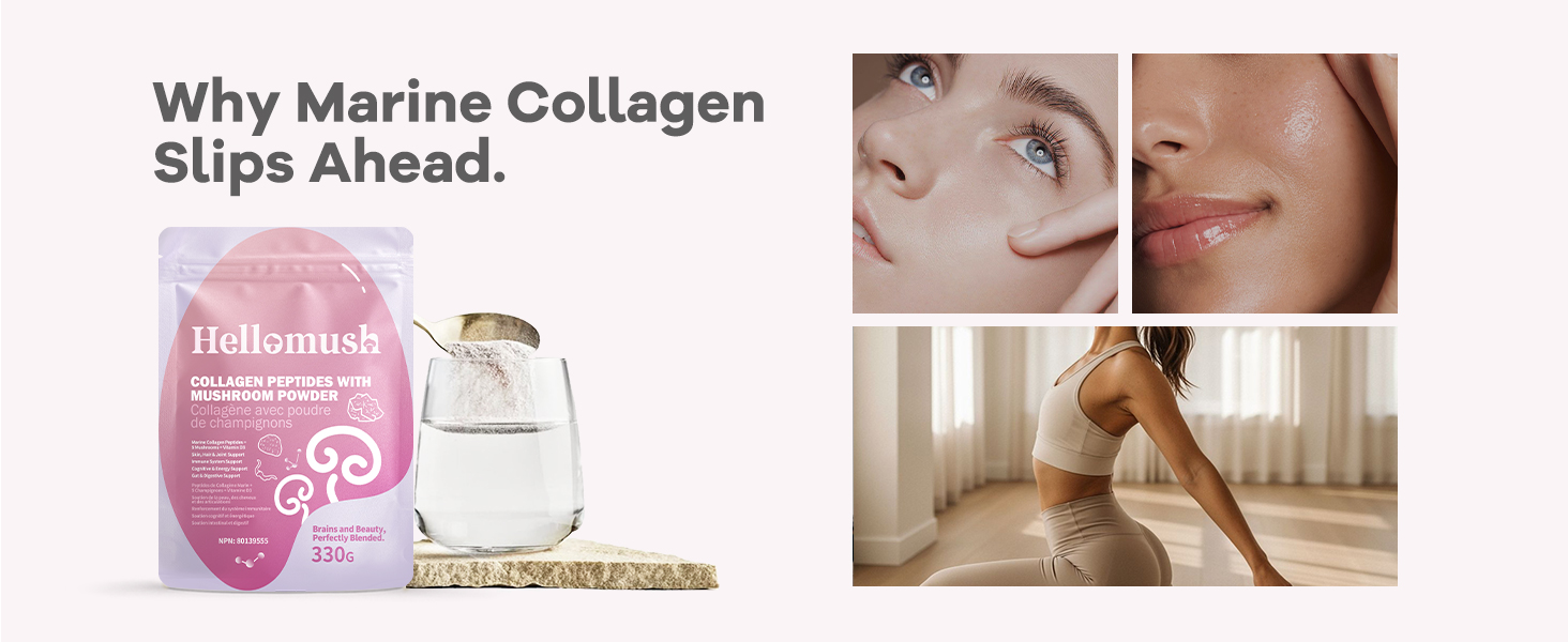 Mushroom Collagen