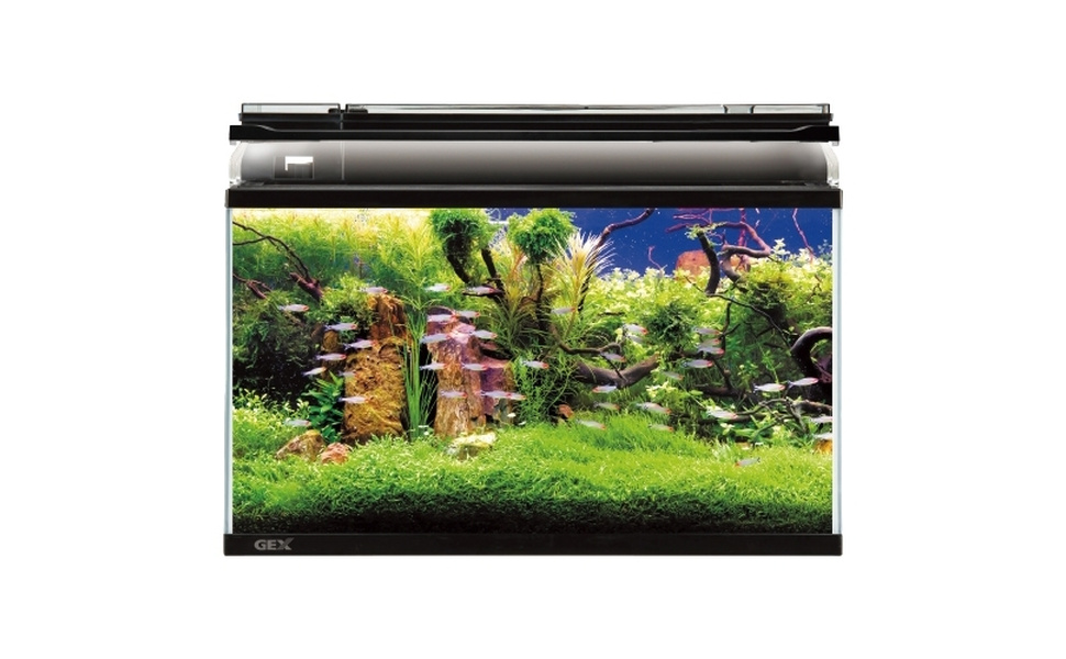 MARINA 600 SLIM 水槽セット Amazon | ジェックス 水槽 マリーナ SLIM MR600BKS 幅60cm | GEX