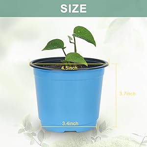 greenhouse pots