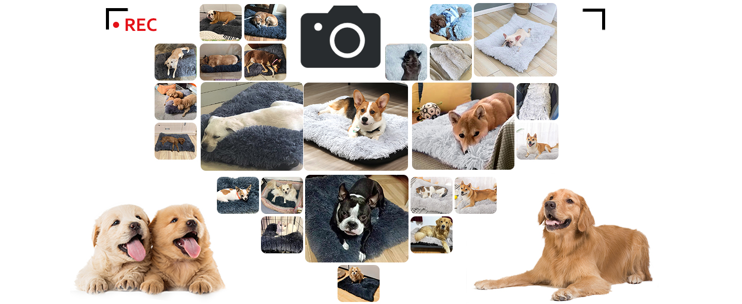 Nepfaivy Small Dog Bed Washable Fluffy Dog Bed, 24inch