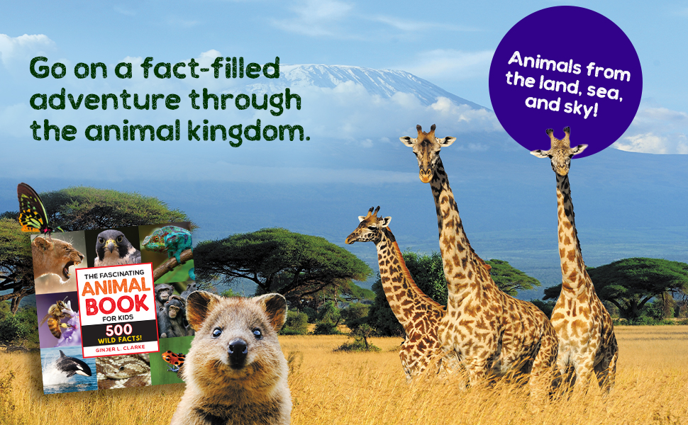 Kids will have a blast as they learn amazing facts about animals, the ocean, and science!