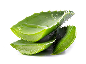 aloe vera for skin