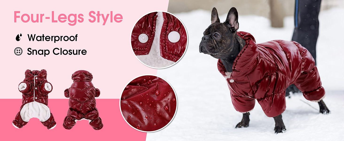 dog coat winter