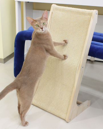Lshaped cat scratcher