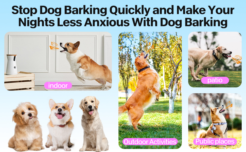 Collage of dogs in various settings: indoors, outdoors, and during activities. Shows different breeds and behaviors, including barking and playing. Emphasizes stopping dog barking and reducing anxiety.