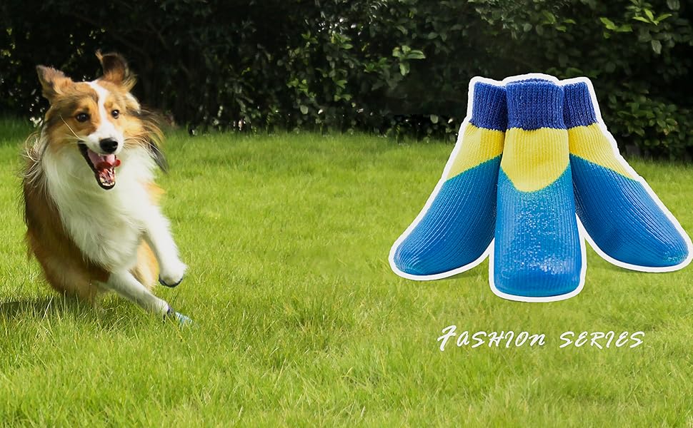 ファーストビュー