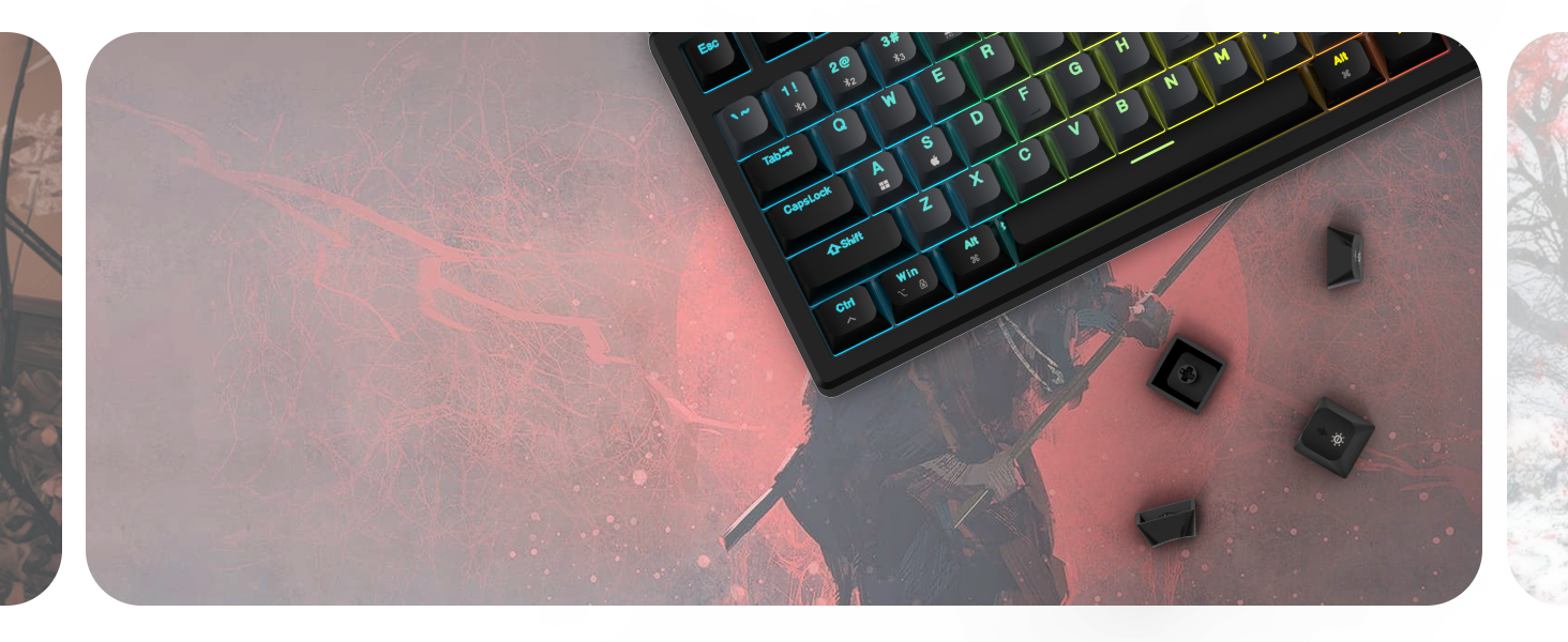 EvoFox Ronin Wireless TKL Mechanical Keyboard