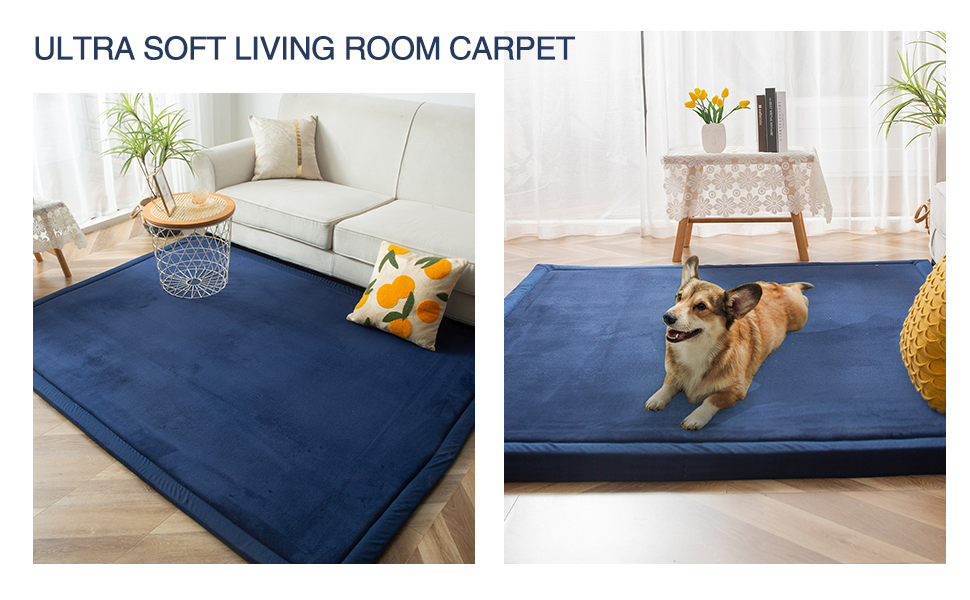 BYBYME Coral Velvet Rug