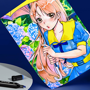 80 Colors Alcohol Markers Set