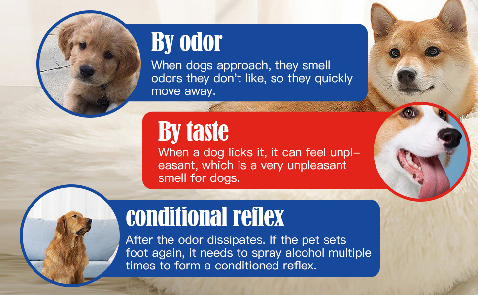 Bitter Apple Spray for Dogs to Stop Chewing, WUKALKA No