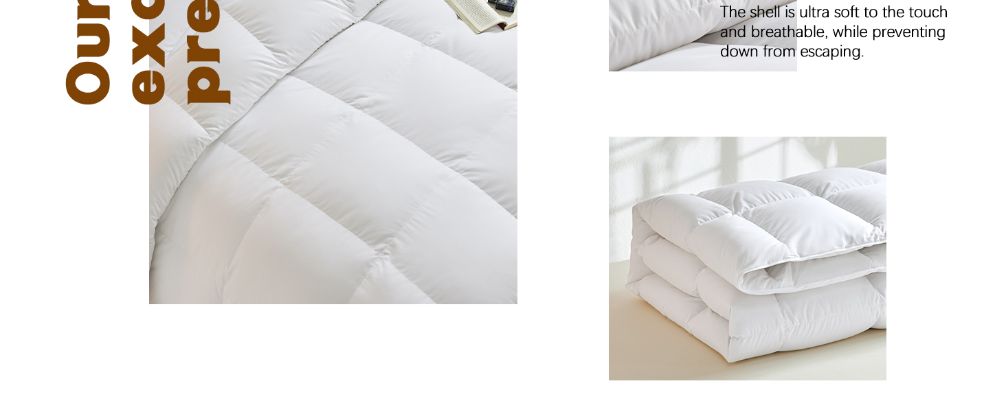 L LOVSOUL 75% Goose Down Fiber King Size Comforter, Fluffy Ultra Soft & All Season White Duvet Insert for Ultimate Co Aa524175 F60e 4b63 A124 3c2d379c989a. CR0,0,1464,600 PT0 SX1464 V1