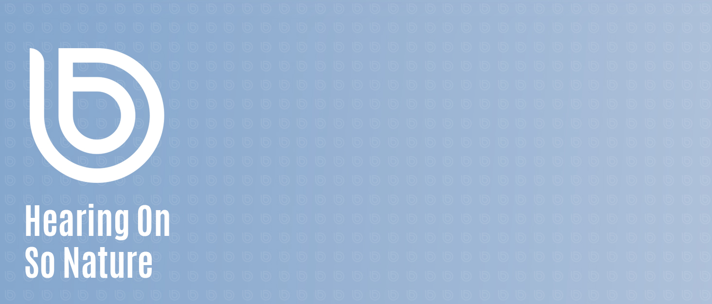 Hearing aids for seniors,hearing devices,rechargeable hearing aids