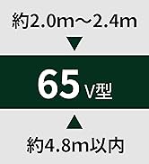 REGZA 65E350M テレビ 65インチ液晶割れジャンク2023年制 REGZA 65E350M テレビ 65インチ液晶割れジャンク2023年制 - メルカリ