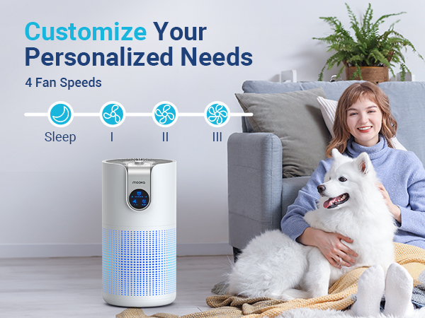 Air purifiers for home large room