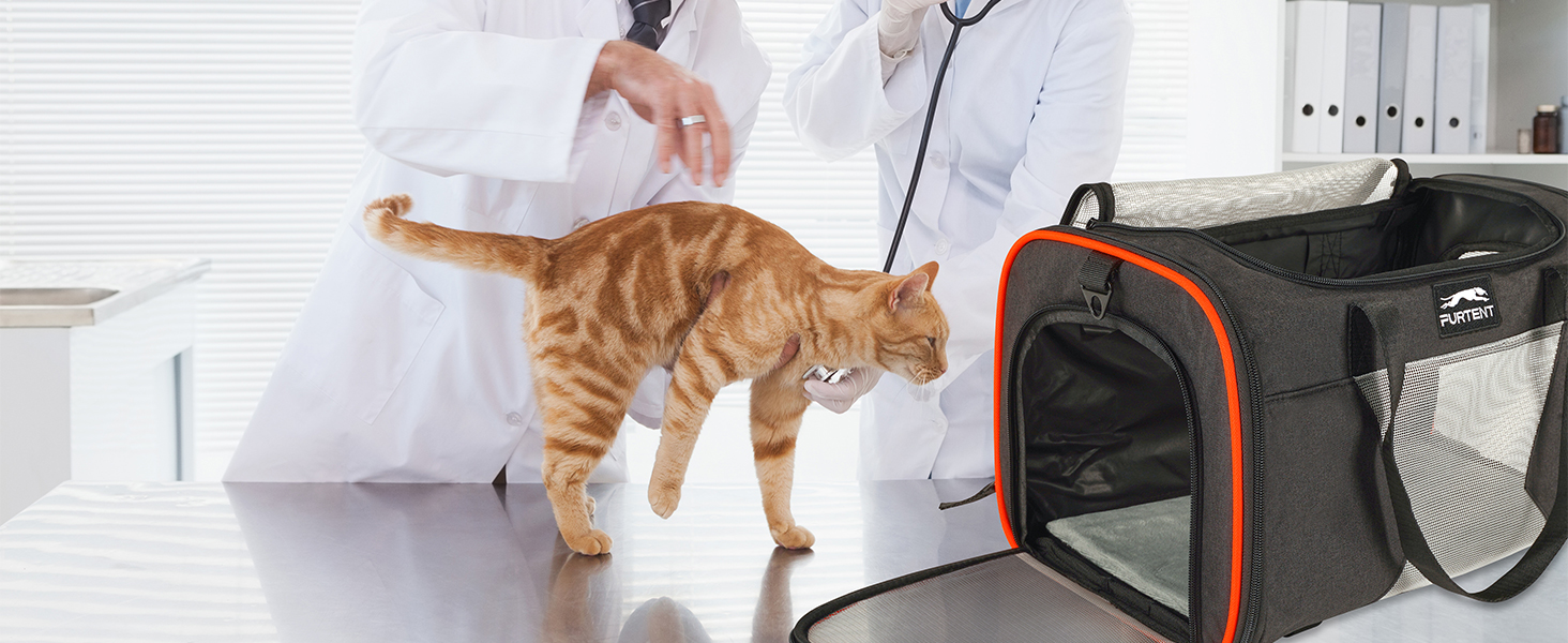 airline approved cat carrier