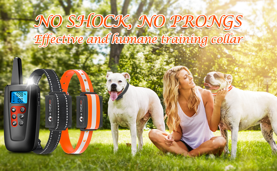 PaiPaitek Vibration Collar for 2 Dogs, No Shock Dog