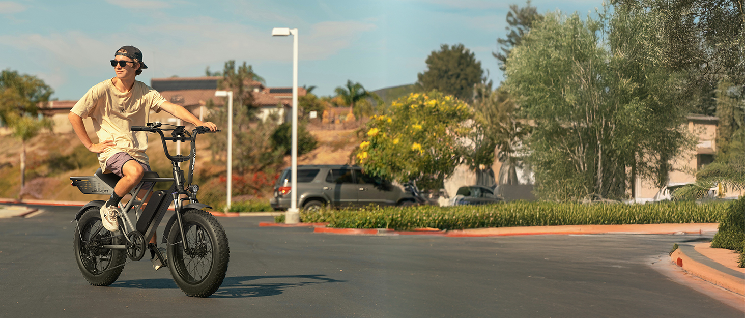 Jasion electric bike retrovolt