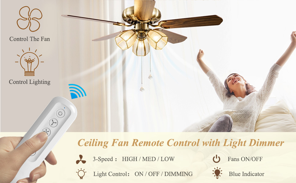 Prichor Universal Ceiling Fan Remote Control Kit for Hunter