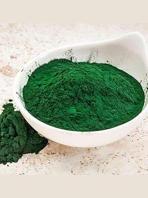 Alga Spirulina
