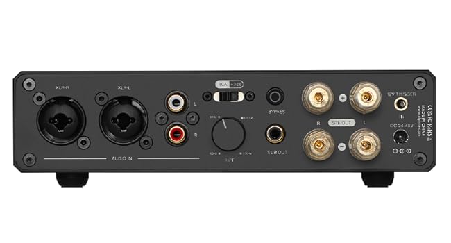 Amazon.com: AIYIMA A20 2.1 Channel Power Amplifier,300Wx2