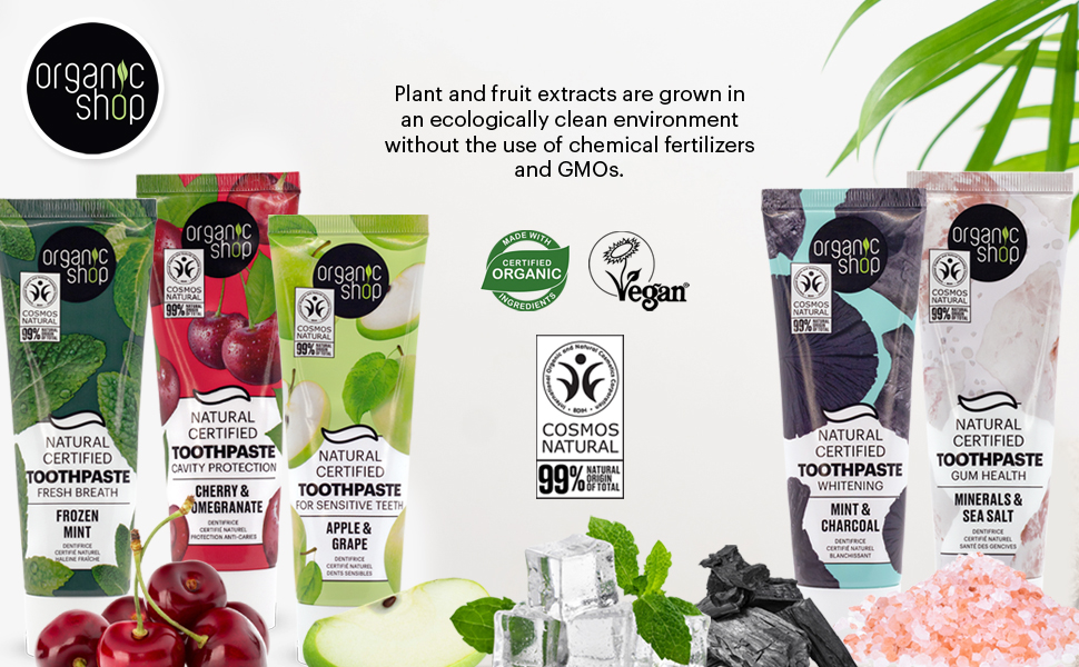 Organic Shop Toothpaste Organic