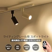 Amazon.co.jp : ANWIO スポットライト ダクトレール用 4.5W（40W