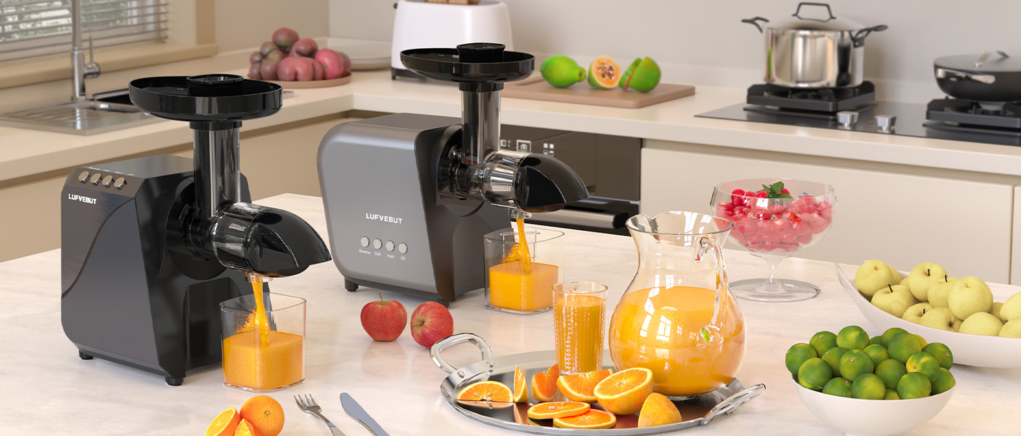 Juicer, Slow Juicer Cold Press, 250W Masticating Juicer Machine for