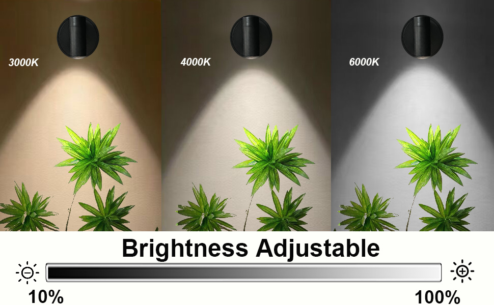 indoor Wireless LED Spotlights for plant