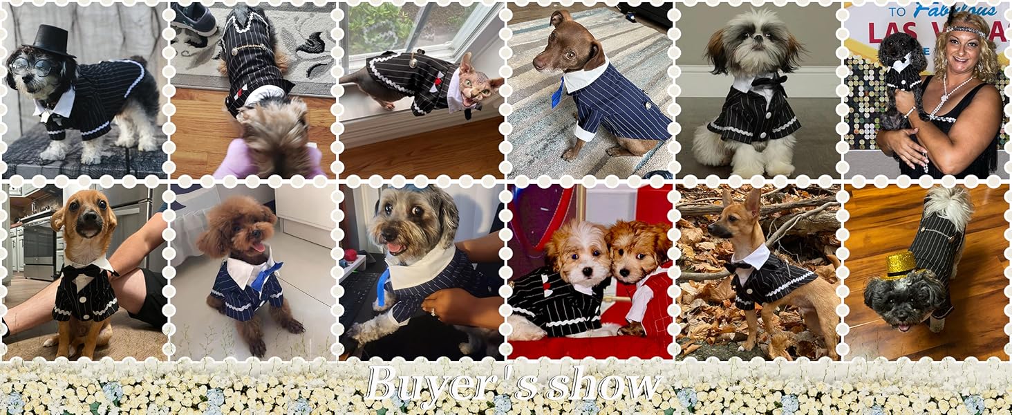 DENTRUN Hund Smoking Hund Hochzeit Anzug Fliege Hund Kleidung Tuxedo Weihnachten