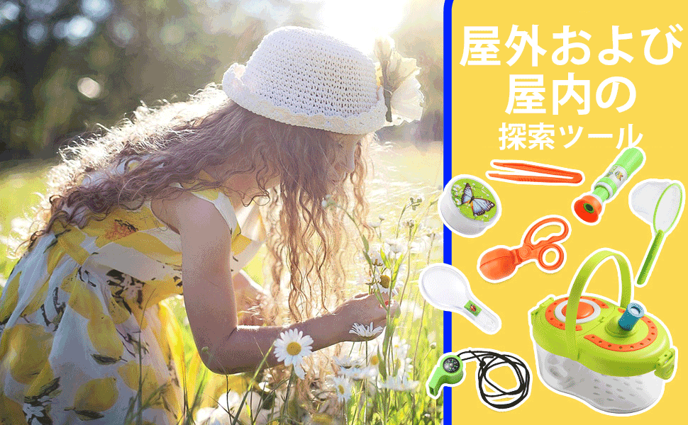 Amazon | 昆虫採集 虫取り アリの巣観察キット 昆虫おもちゃ