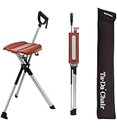 Amazon.com : STEP2GOLD Ta-Da Chair Series 2- Portable