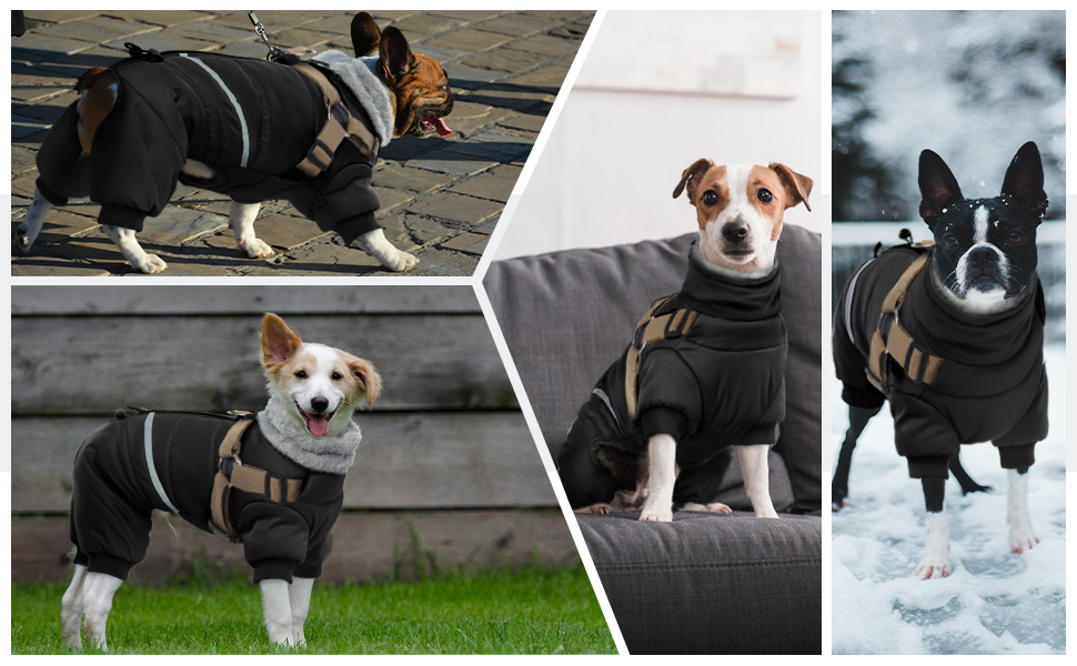 Waterproof Dog Coat, Fleece Thick Jacket Windproof Warm Full Body Coat for Small Dogs Puppy
