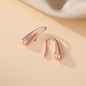 teardrop_earrings_drop_for_women_small_hook_earrings_droplet_earrings