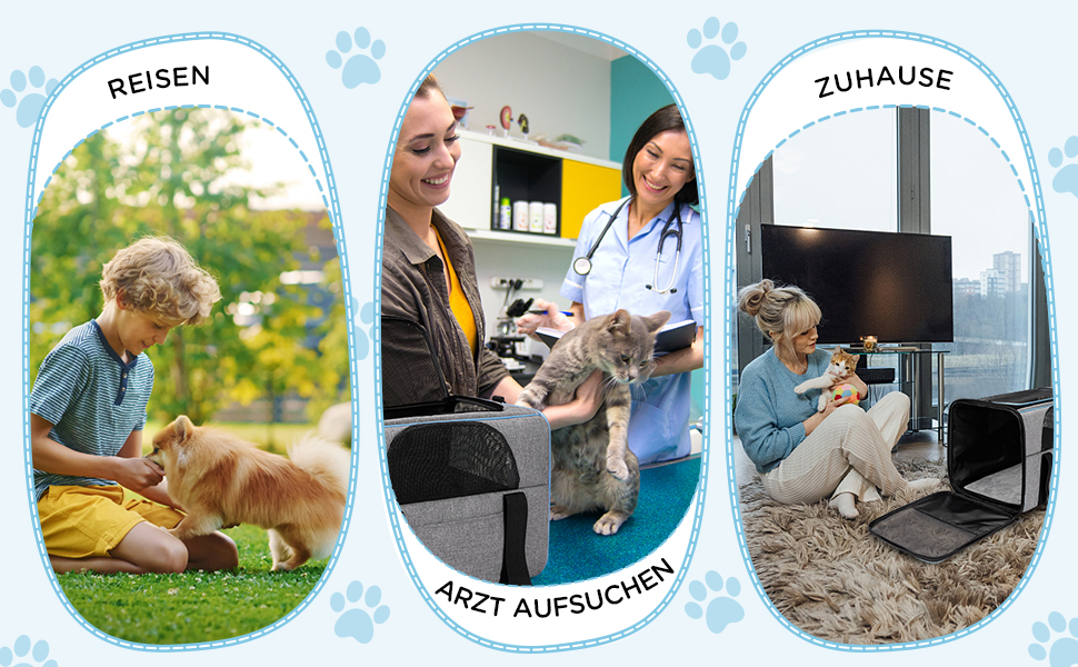 eine Collage aus Bildern, die einen Tierarzt und eine Katze zeigen.