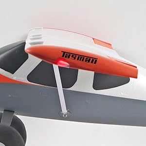 Tasman red