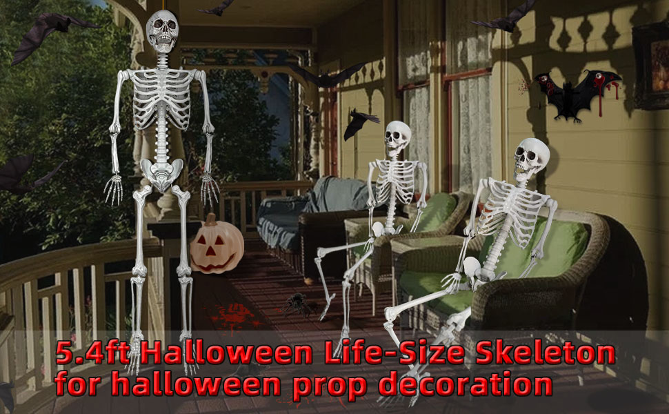 5.4Ft/165cm Halloween Life Size Skeleton Full Body with Movable Joints