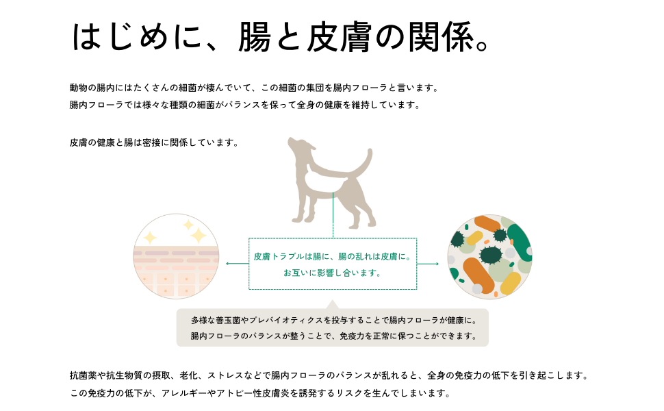 新品未開封tam's 犬用おやつ ジッパー付き袋 3個セット 新品未開封tam's 犬用おやつ ジッパー付き袋 3個セット Amazon