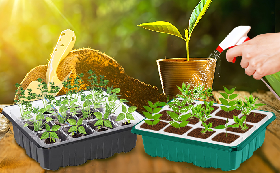 Seed Starter Tray with Grow Light