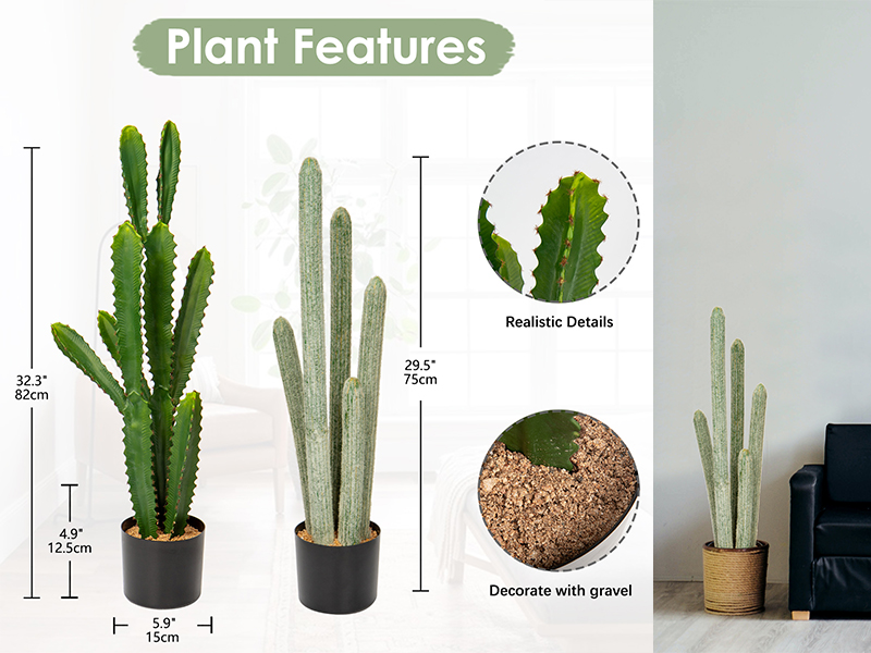 Nala ナラ　Cactus all in one OP099: Opuntia hybrid Walk In Beauty™ Watermelon Man COLD