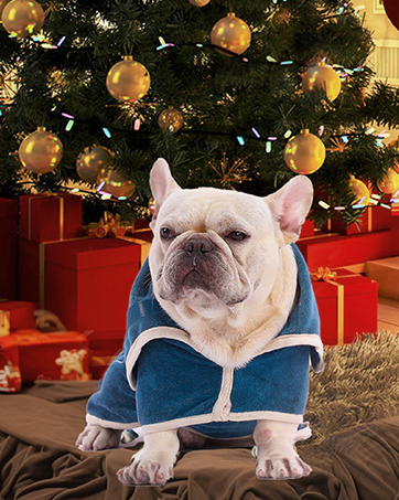 PETTOM 2 Pcs Dog Towel Quick Drying Absorbent Microfiber Dog Towel Artero, Bath Towels with Pockets for Small, Medium and Large Dogs, 90 x 50 cm 25 con un suéter navideño azul, sentado frente a un árbol de Navidad con regalos rojos y adornos dorados