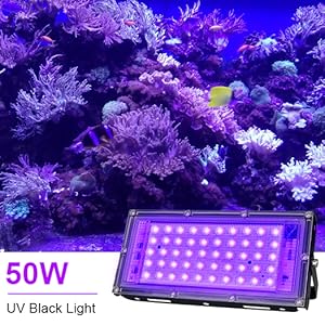 Small manufacture image 8