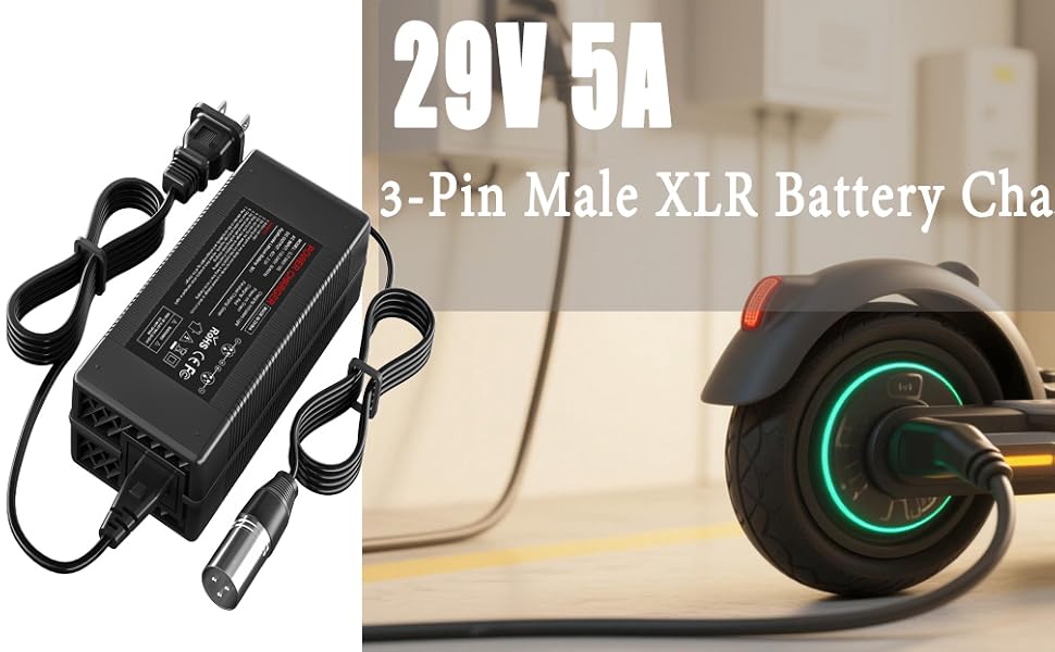 Electric Scooter Battery Charger