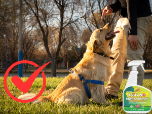 no pee spray for dogs indoor