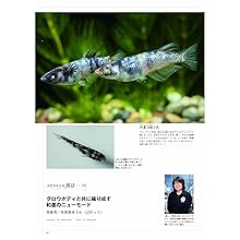 アクアライフ　まとめ売り 月刊アクアライフ 2021年 09 月号 30cmキューブ水槽 |本 | 通販