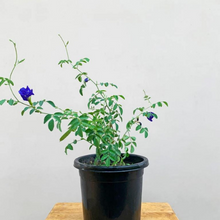 Small manufacture image 5