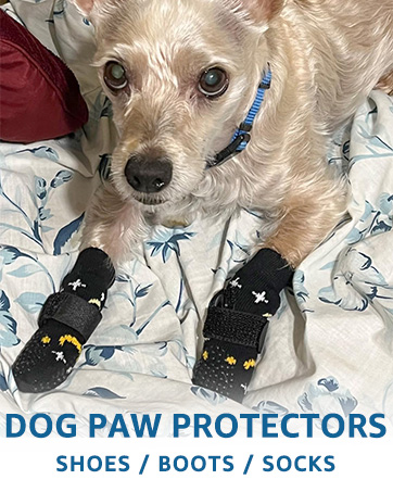 dog socks