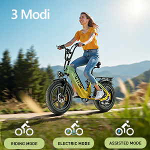 3 Modi