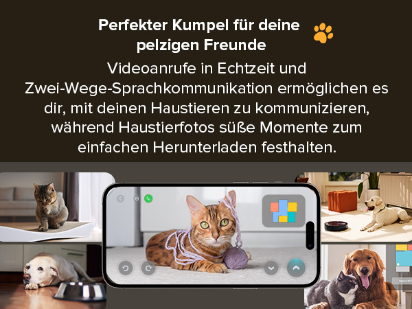 a picture of a cat with a mobile phone