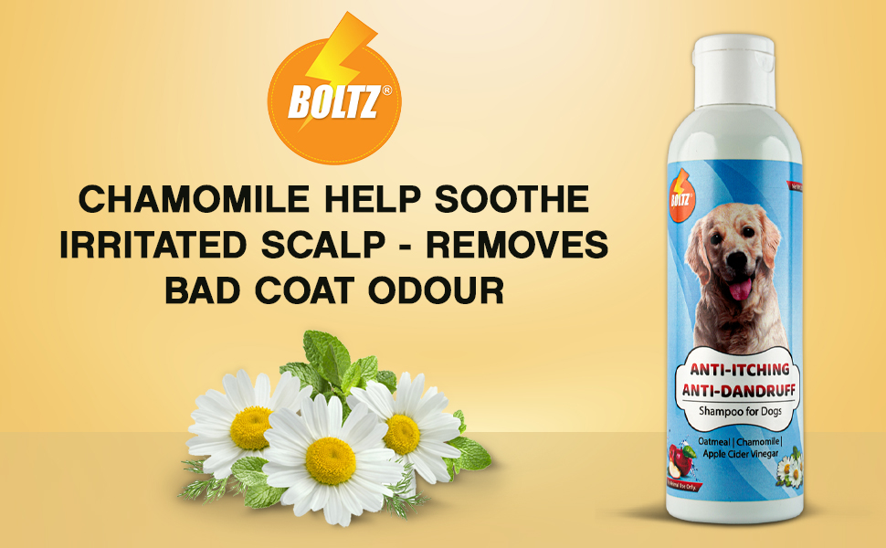 Buy BOLTZ AntiItching and AntiDandruff Dog Shampoo with Oatmeal,Apple