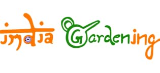 india gardening live plants indoor garden plant succulent cactus pot tools home seeds